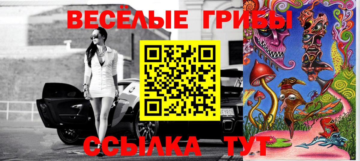 Псилоцибиновые грибы ЛСД Стрежевой